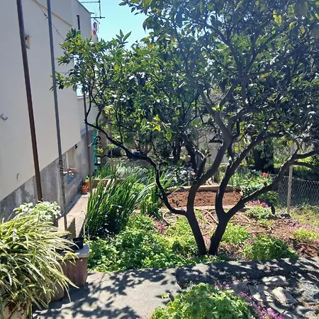 With Parking Space Ivan Dolac, Hvar - 24264 Apartamento Jelsa (Hvar)